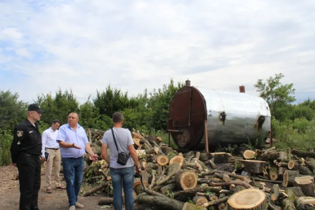 Комісія перевірить законність вирубки лісів на Хмельниччині — фото 1