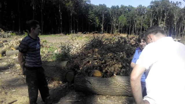 Комісія перевірить законність вирубки лісів на Хмельниччині — фото 4