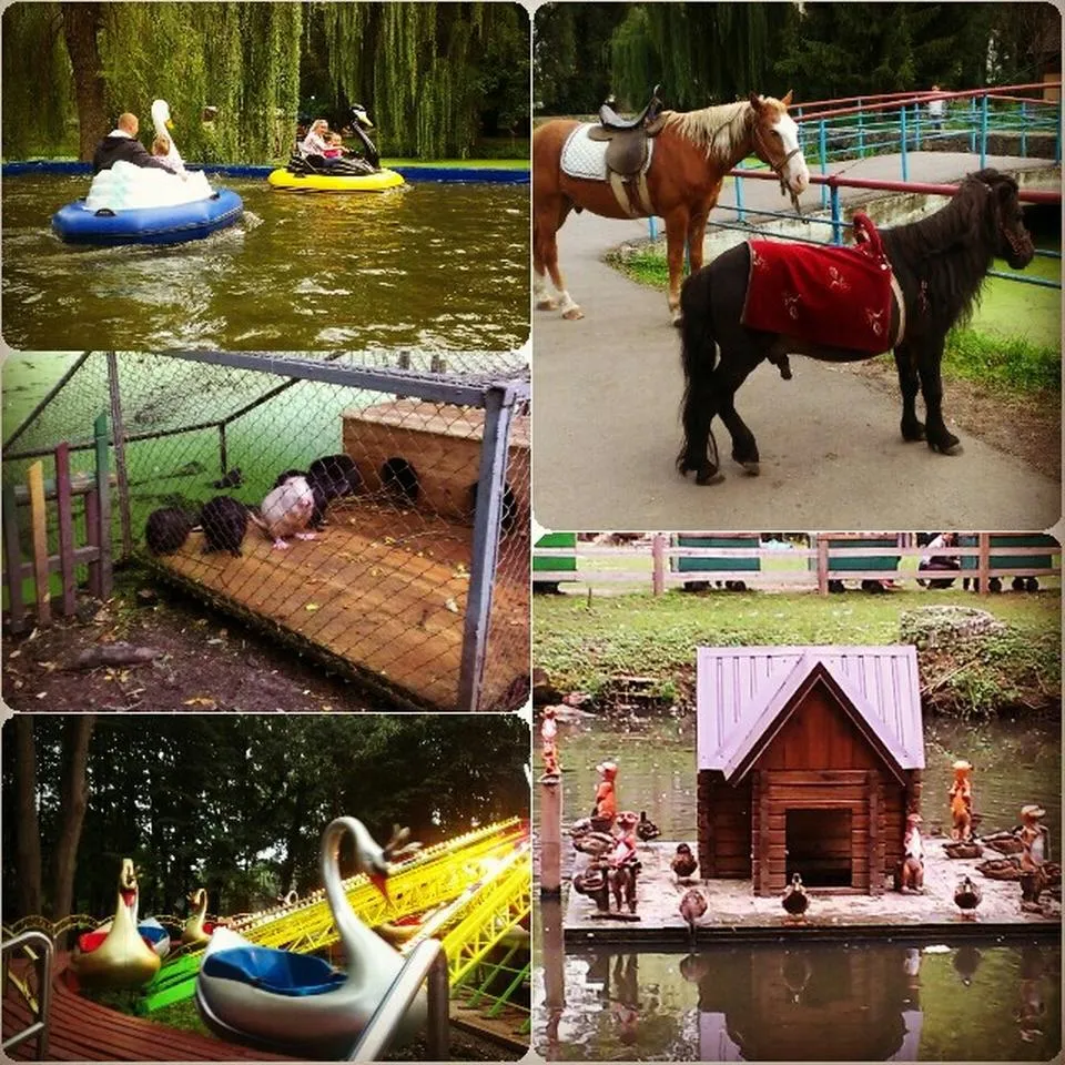 Парк ім. Чекмана