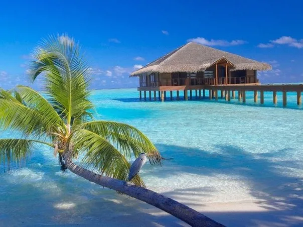 Туристическое агентство "Paradise Travel"