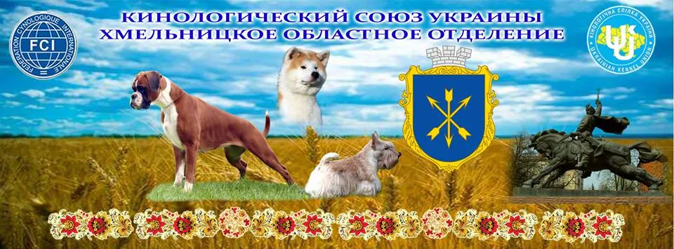 Хмельницький обласний осередок ВГО "КСУ"