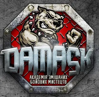 Академія змішаних бойових мистецтв "Дамаск"