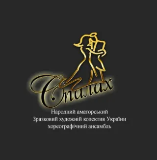 Хореографический ансамбль и вокальная студия "Вспышка"