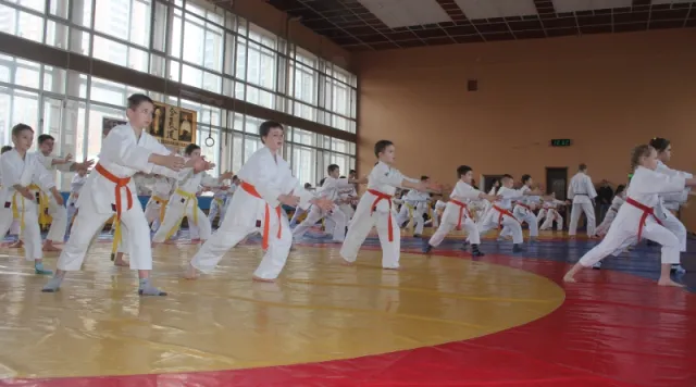 Додзё "Шинсейкан" на Проскуровськой — фото 4