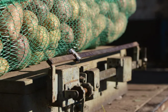 Українські фермери та «ЗАСТУП» допомагають госпіталям годувати постраждалих воїнів — фото 1