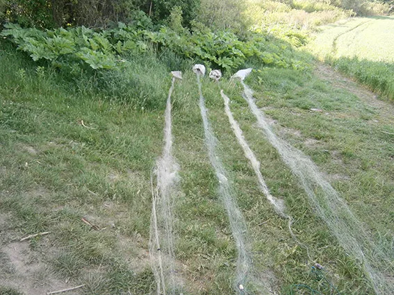 Правоохоронці затримали чергового браконьєра — фото 1