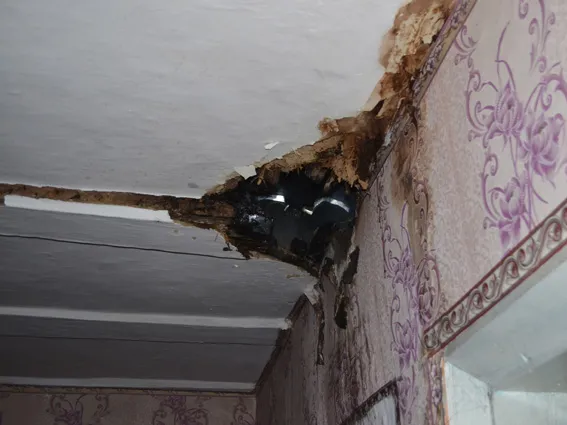 Подільські рятувальники врятували від знищення будинок у Старосинявському районі — фото 1