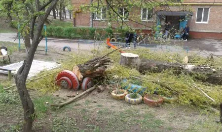 У Хмельницькому комунальники так зрізали живе дерево, що воно завалило дитячий майданчик — фото 2