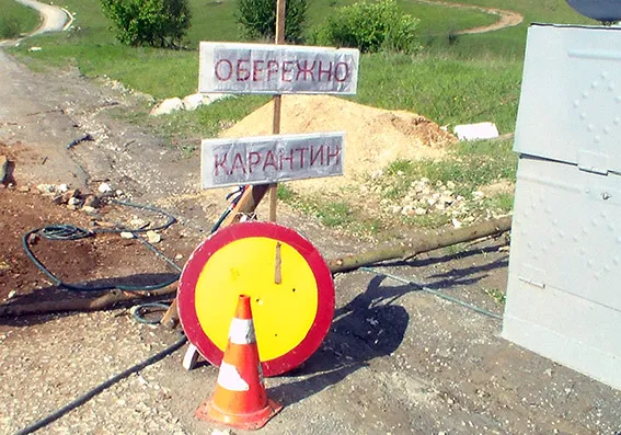 В Дунаєвецькому районі зафіксували африканську чуму свиней. Небезпечний вірус знищено — фото 1