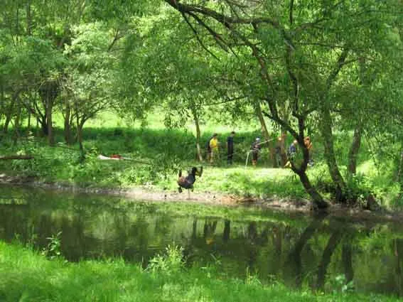 В Хмельницькій області пройшли змагання юних рятувальників "Школа безпеки" — фото 5