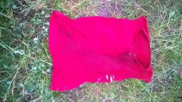 Правоохоронці затримали двох підозрюваних у вбивстві чоловіка, тіло якого знайшли у лісосмузі — фото 2