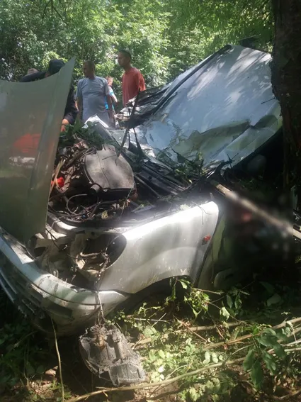В Новоушицькому районі автомобіль «Renault» в'їхав у дерево. Троє людей загинуло — фото 1