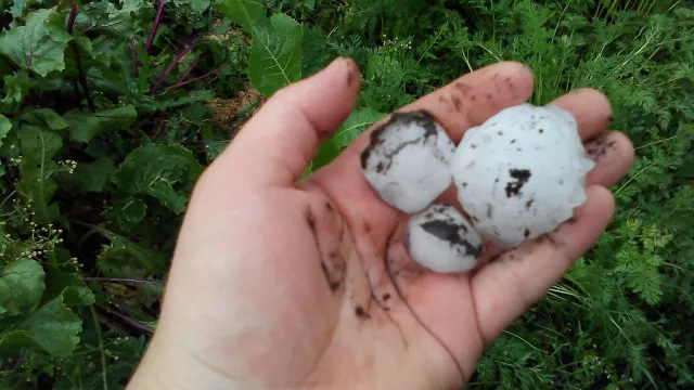 У Хмельницькій області ліквідовують наслідки негоди — фото 3