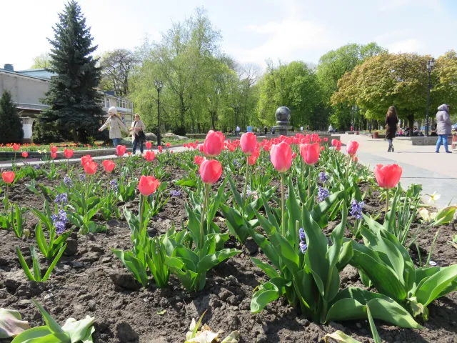 У Хмельницькому визначили переможців у конкурсі на кращий благоустрій території — фото 5