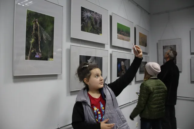 В Хмельницком открыли выставку «Фотовернисаж на Покрову», в которой представлено 55 фотографий — фото 7
