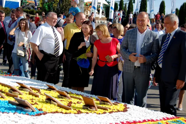 Новий рекорд: коровай з майже 9000 мафінів, на якому зображена мапа Хмельниччини, став найбільшим в Україні — фото 1