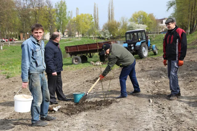 В рамках еко-проекту хмельничани здали 39000 кг макулатури та отримали 1500 дерев — фото 4