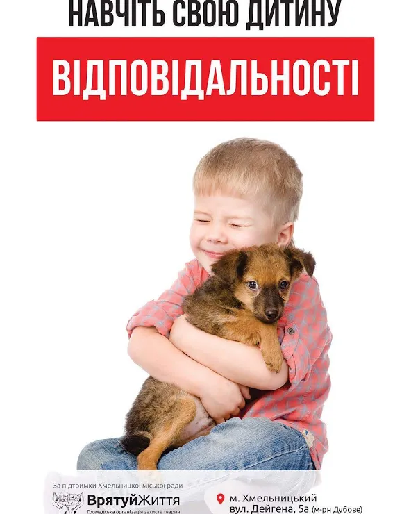 В Хмельницком появилась новая социальная реклама в защиту животных — фото 1