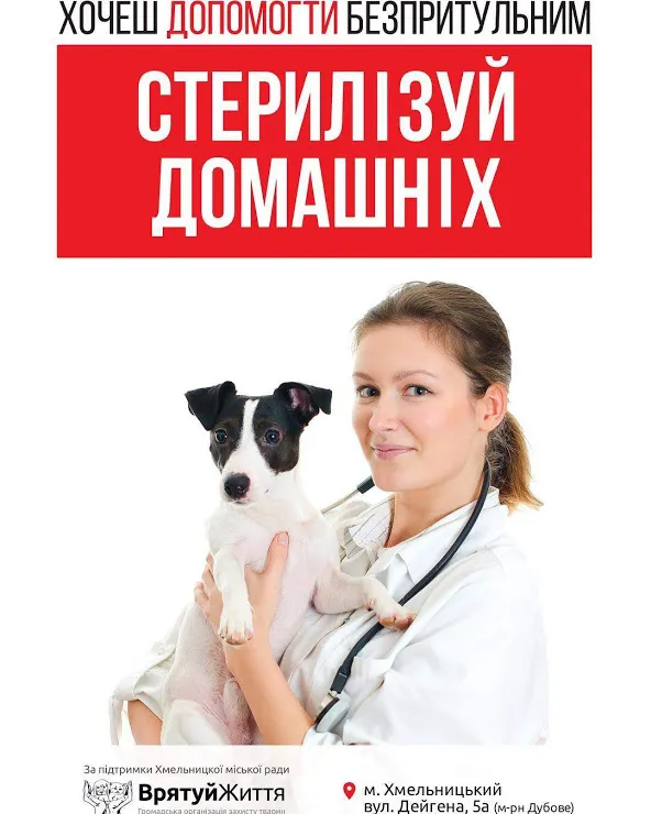 В Хмельницком появилась новая социальная реклама в защиту животных — фото 4