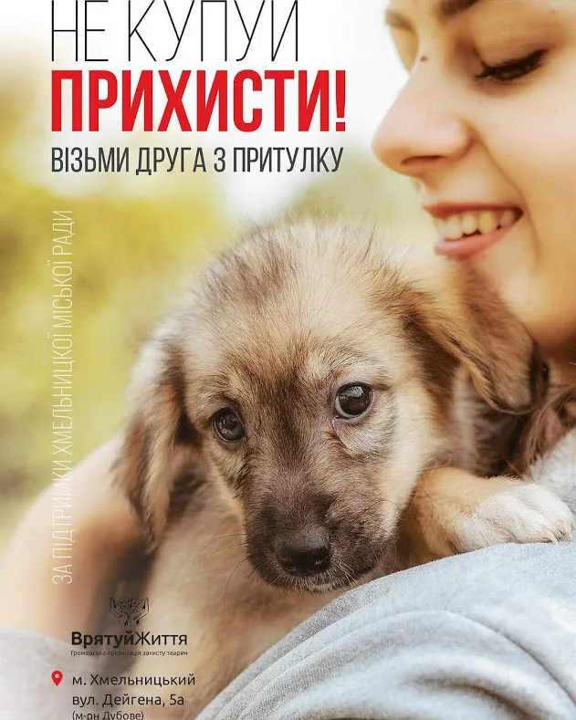 В Хмельницком появилась новая социальная реклама в защиту животных — фото 5